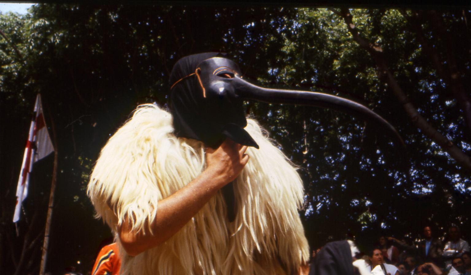 maschera_t.jpg